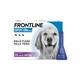 FRONTLINE Spot On Flea and Tick Treatment Dogs and Cats - Dog Large (20-40kg) - 3 Pack