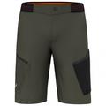 Salewa - Pedroc 3 DST Cargo Shorts - Shorts size 48, grey