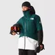 The North Face Women's Summit Verbier Futurelight™ Jacket Ponderosa Green-gardenia White-tnf Black Size M