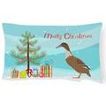 Caroline's Treasures Dutch Hook Bill Duck Christmas Canvas Fabric Decorative Pillow Multicolored 12H x16W