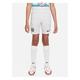 Nike Youth Chelsea 22/23 Away Shorts - White, White, Size Xs