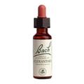 Bach Flower Scleranthus, 20ml