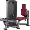 Life Fitness Insignia Series Calf Extension Selectorised