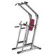 Life Fitness Signature Series Chin/Dip/Leg Raise BWCDL