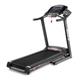 BH Fitness Pioneer R3 Folding Treadmill