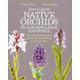 How to Grow Native Orchids in Gardens Large and Small The Comprehensive Guide to Cultivating Local Species