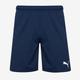 Puma Junior teamRISE Shorts