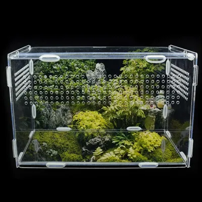 Boîte d'élevage de reptiles transparente boîte d'alimentation en acrylique terrarium d'escalade