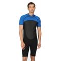 Regatta Mens Shorty Lightweight Comfortable Grippy Wetsuit XL- Chest 43-44' (109-112cm)