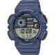 Casio Watch WS-1500H-2AVEF