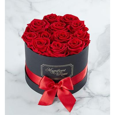 1-800-Flowers Flower Delivery Magnificent Roses Preserved Red Roses One Dozen