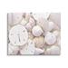 Stupell Industries Mixed Sand Dollar Shells Canvas Wall Art By Lil' Rue Canvas in White | 16 H x 20 W x 1.5 D in | Wayfair as-682_cn_16x20