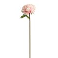 FaLX Simulated Tea Rose Not Wither Non-fading No Watering Weather-resistant Easy to Care Vivid 29cm Single-head False Tea Rose Home Decor