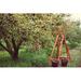 Winston Porter Harvest in Apple Garden - Wrapped Canvas Photograph Canvas | 20 H x 30 W x 1.25 D in | Wayfair B2BD07DF9D264A7D9B67F435236392DB