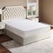 California King Medium 8" Gel/Foam Mattress - Alwyn Home Soumare Infused Gel Memory Foam Sofa Bed | 84 H x 72 W 8 D in Wayfair