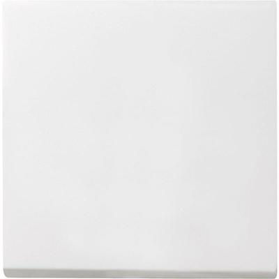 Gira Wippe Schalter reinweiß mit System 55 029627 Image