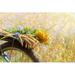 Ebern Designs Summer Flowers & Grains on the Back of a Blue Bicycle by Acik - Wrapped Canvas Photograph Canvas | 20 H x 30 W x 1.25 D in | Wayfair