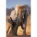 Ebern Designs Elephant Baby - Wrapped Canvas Photograph Canvas | 30 H x 20 W x 1.25 D in | Wayfair E32C908629D747DB96D34B2D857C52B0