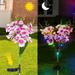 2 Pack Solar Phalaenopsis Flowers Lights Design Upgraded Garden Solar Lights