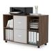 LISUEYNE 2 Drawer File Cabinet Large Mobile Lateral Filing Cabinet for Letter Size Printer Stand with 4 Open Storage Shelves and Rolling Wheels for Home Office Brown