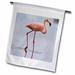 3dRose Galapagos American Flamingo tropical bird - SA07 MDE0194 - Michael DeFreitas - Garden Flag 12 by 18-inch