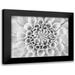 Frank Assaf 24x19 Black Modern Framed Museum Art Print Titled - Pompom Dahlia petals