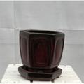 Bonsai Boy of New York 5.5 x 5.5 x 5.5 in. Parisian Red Ceramic Bonsai Pot with Humidity Drip Tray Hexagon