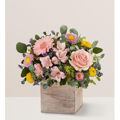 1-800-Flowers Flower Delivery Spring Sentiment Bouquet Small
