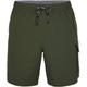 O'NEILL Herren Shorts ALL DAY 17'' HYBRID SHORTS, Größe S in Grün