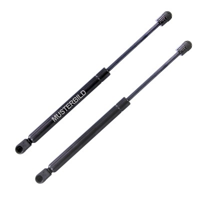 Bestprice 2x Gasfeder, Koffer-/Laderaum [Hersteller-Nr. 31084017] für Fiat Image