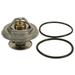 Thermostat - Compatible with 1994 - 1997 Mercedes-Benz E320 1995 1996