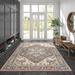 Curiosity Traditional Oriental Indoor Machine Washable Area Rug