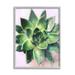 Round Succulent Plant Leaves Botanical & Floral Graphic Art Gray Framed Art Print Wall Art