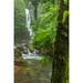 Loon Peak® Costa Rica La Paz River Valley La Paz Waterfall Garden Waterfall & Stream Landscape Credit As: Cathy | 24 H x 18 W in | Wayfair