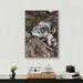Loon Peak® Resting Wolf - Unframed Photograph on Metal in Brown/Gray | 16 H x 12 W x 0.12 D in | Wayfair ED610E0F4B3047B2954831354D313383