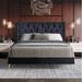 Willa Arlo™ Interiors Petersfield Tufted Low Profile Platform Bed Upholstered/Velvet, Wood in Black | 43.9 H x 44.3 W x 82.5 D in | Wayfair