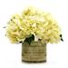 Primrue Hydrangea Floral Arrangements in Vase Polysilk, Glass | 11 H x 10 W x 10 D in | Wayfair B151B15F04734F6EBB19AB5FEDA5E05F