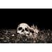 Trinx Lightpainted Skull - Wrapped Canvas Photograph Canvas | 20 H x 30 W x 1.25 D in | Wayfair 35E415F66417428EBAE5CB46385D22EF