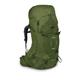 Osprey Aether 65L Rucksack - Garlic Mustard Green - Size L-XL - Rucksacks