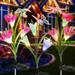 KTCINA Solar Flowers Lights Multicolor Solar Powered Lily Flower Garden Lights Waterproof Color Changing Lily Flower Stake Lights Landscape Lighting for Patio Backyard