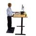 HomeRoots Rise Up Height Adjustable Standing Desk Wood/Metal in Black/Brown | 48 W x 30 D in | Wayfair RUbb48