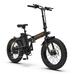 Folding Electric Bike