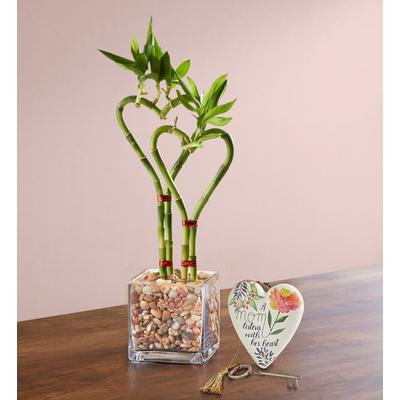 1-800-Flowers Plant Delivery Sweetheart Bamboo For Mother's Day Double W/ Mom Keepsake | Happiness Delivered To Their Door