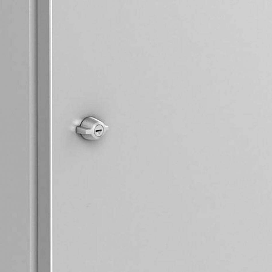 Biohort Schlösser für Mülltonnenbox Alex - gleichschließend, 2 Stück Image