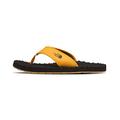 THE NORTH FACE Men's Base Camp Flip-Flop ll, Summit Gold/TNF Black, 13