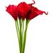 Viworld 10 PCS Real Touch PU Latex Artificial Calla Lily Flowers for Wedding Bouquets centerpieces Decor Red