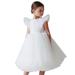 ZHAGHMIN Girl Bow Knot Dress Toddler Kids Baby Girl Ruffle Pageant Party Wedding Tulle Dress Girl Short Sleeve Princess Dresses Summer Dresses Little Girls Party Dress for Toddlers Girls Dress Short