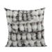 Plutus Brands Polyester Throw Square Pillow Cover & Insert Down/Feather/Polyester | 16 H x 16 W x 3 D in | Wayfair PBSF2338-P-1616-DP