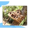 Tucker Murphy Pet™ Corey-Jay 9 in x 11 in x 7 in Birdhouse Wood in Brown | 9 H x 11 W x 7 D in | Wayfair D5ADD7BE054548B5A90D7D425047355C