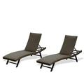 Mydepot Domi Outdoor Living PE Rattan Chaise Lounge Set of 2 Patio Reclining Chair Patio Furniture